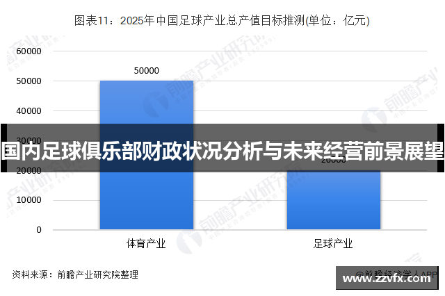 国内足球俱乐部财政状况分析与未来经营前景展望