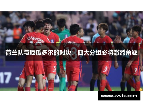 荷兰队与厄瓜多尔的对决：四大分组必将激烈角逐