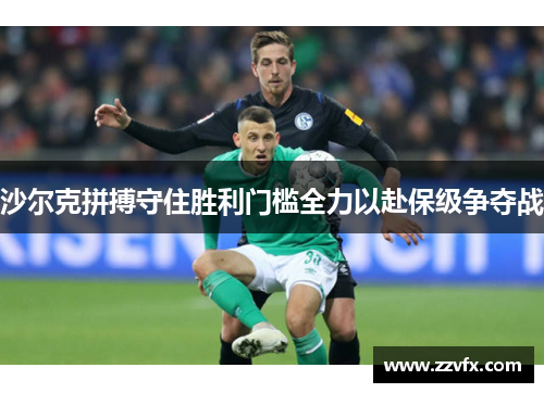 沙尔克拼搏守住胜利门槛全力以赴保级争夺战