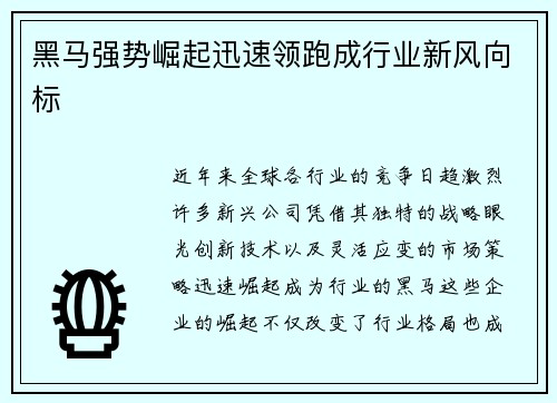 黑马强势崛起迅速领跑成行业新风向标