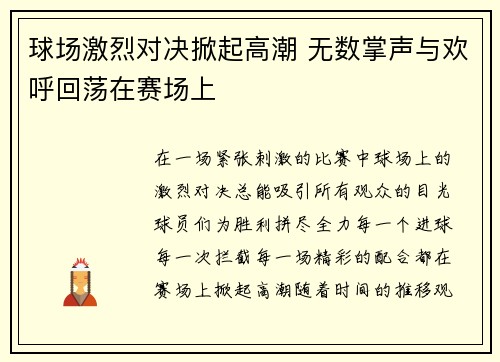 球场激烈对决掀起高潮 无数掌声与欢呼回荡在赛场上